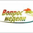 «Вопрос недели». Гей-парад в Минске — вы за или против?